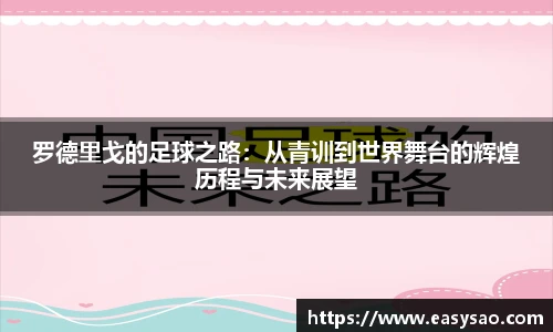 竞技宝平台官网入口